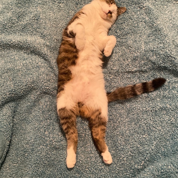 Meet your Posher, Caroline - Picture 3 of 7